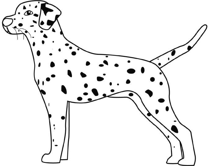 dalmatian fire dog coloring pages - photo #33