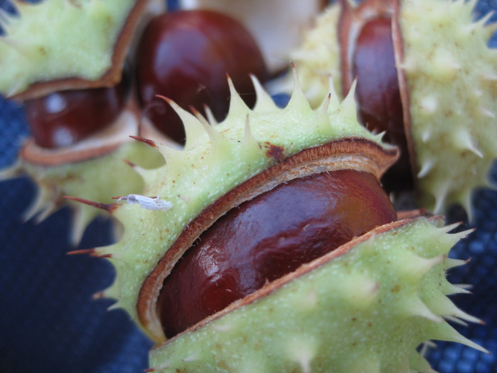 As The Worm Turns: September 2012
