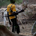 Herdsmen raze Adamawa village, army kills 10 fleeing attackers