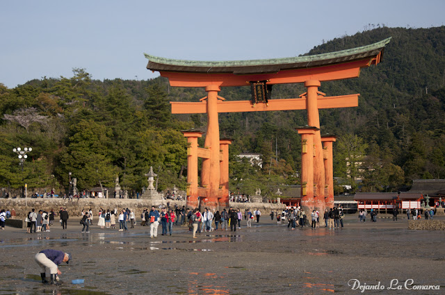 Día 16 - Hiroshima y Miyajima - Japón primavera 2016 - 18 días (con bajo presupuesto) (17)