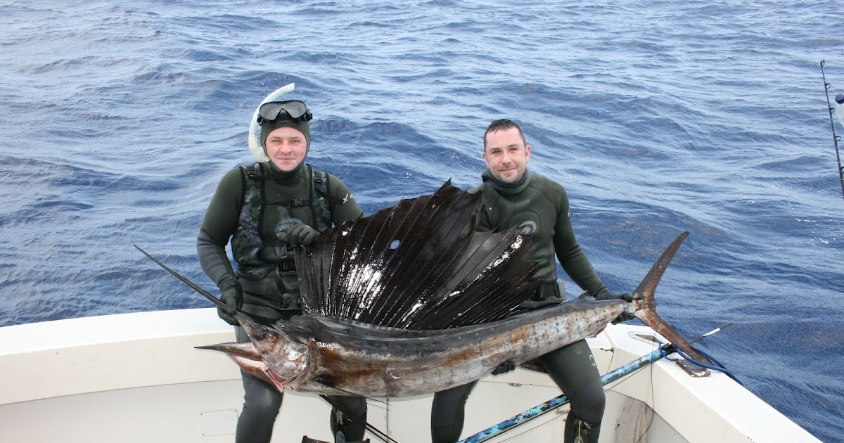 Dry Tortugas Dive Spearfishing Trips