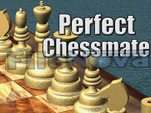 perfect-chessmate.jpg