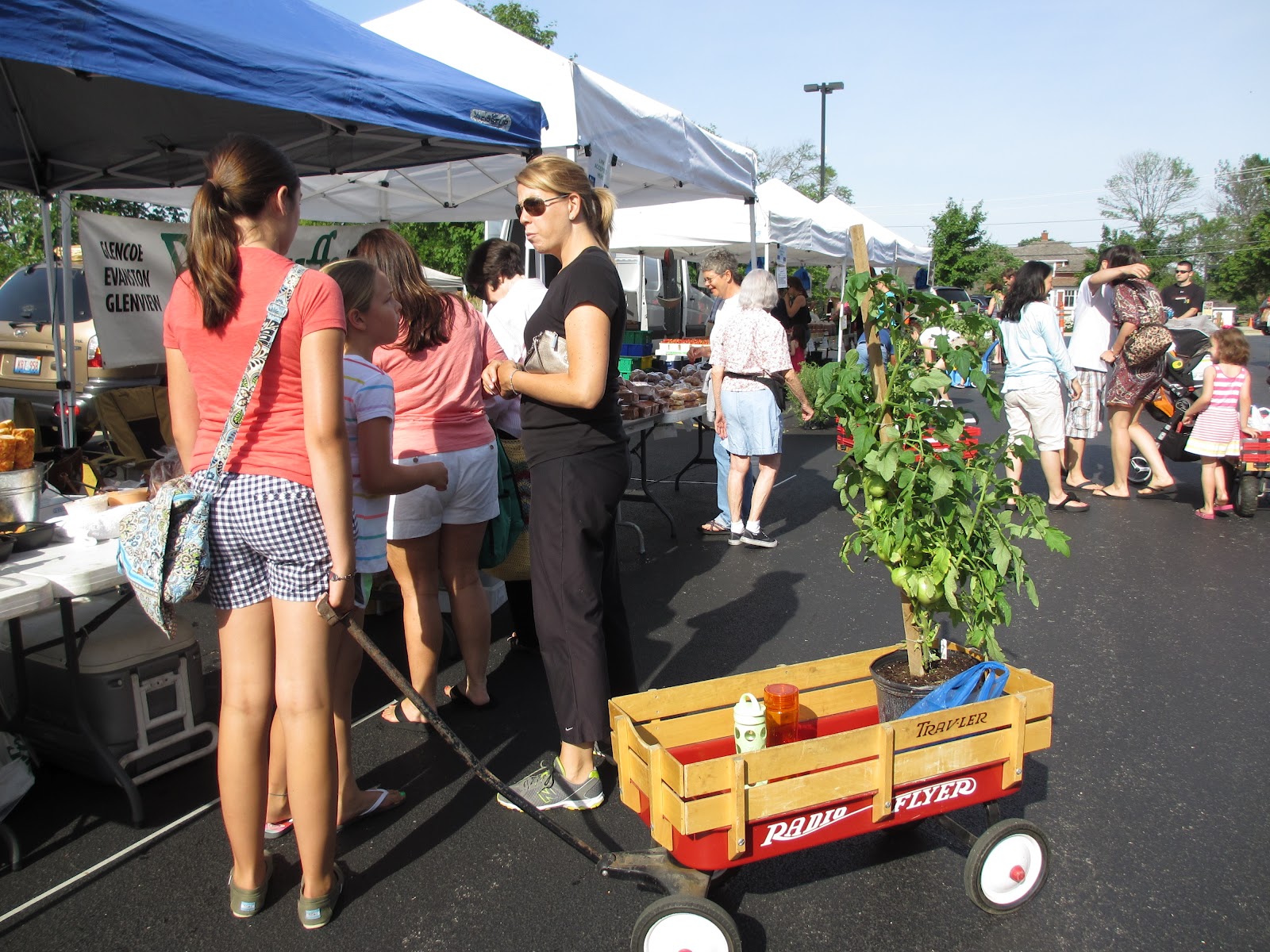 Wagner Feed Kicking off the Glenview Farmers Market