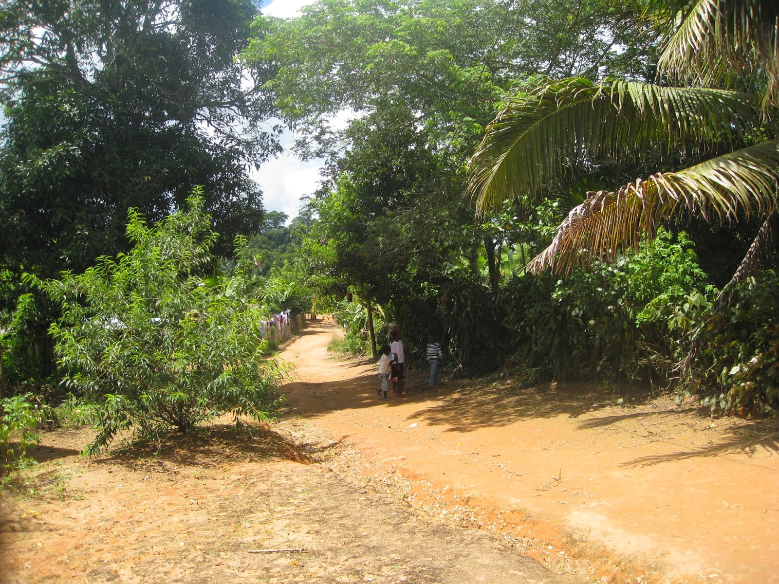 A World Away Random Photos Around Vondrozo