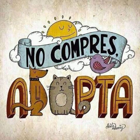 Resultat dimatges de no compres adopta