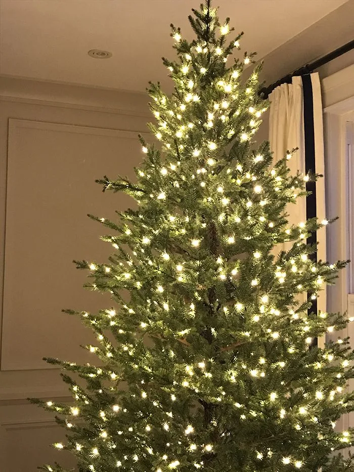 bare christmas tree with white lights