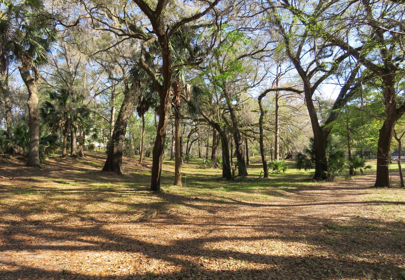 Where's Liz? 2017 Dowling Park, FL...where I'll retire after RVing