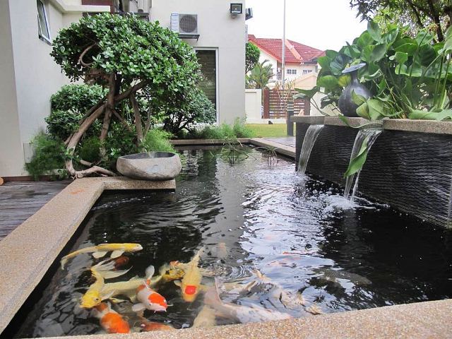 Jasa Pembuatan Kolam Hias Minimalis Dan Koral Sikat - Grosir Batu Alam