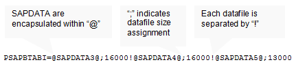 Reading datafile layout in DBSIZE.TPL