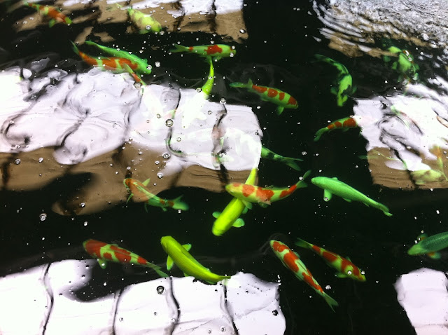 Beautysmile-Koi: Koi Hunting : 15-5-2011(Koimart, JoeKoikichi and