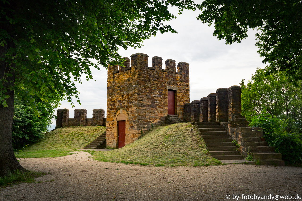 Review Week 37 Rosa P