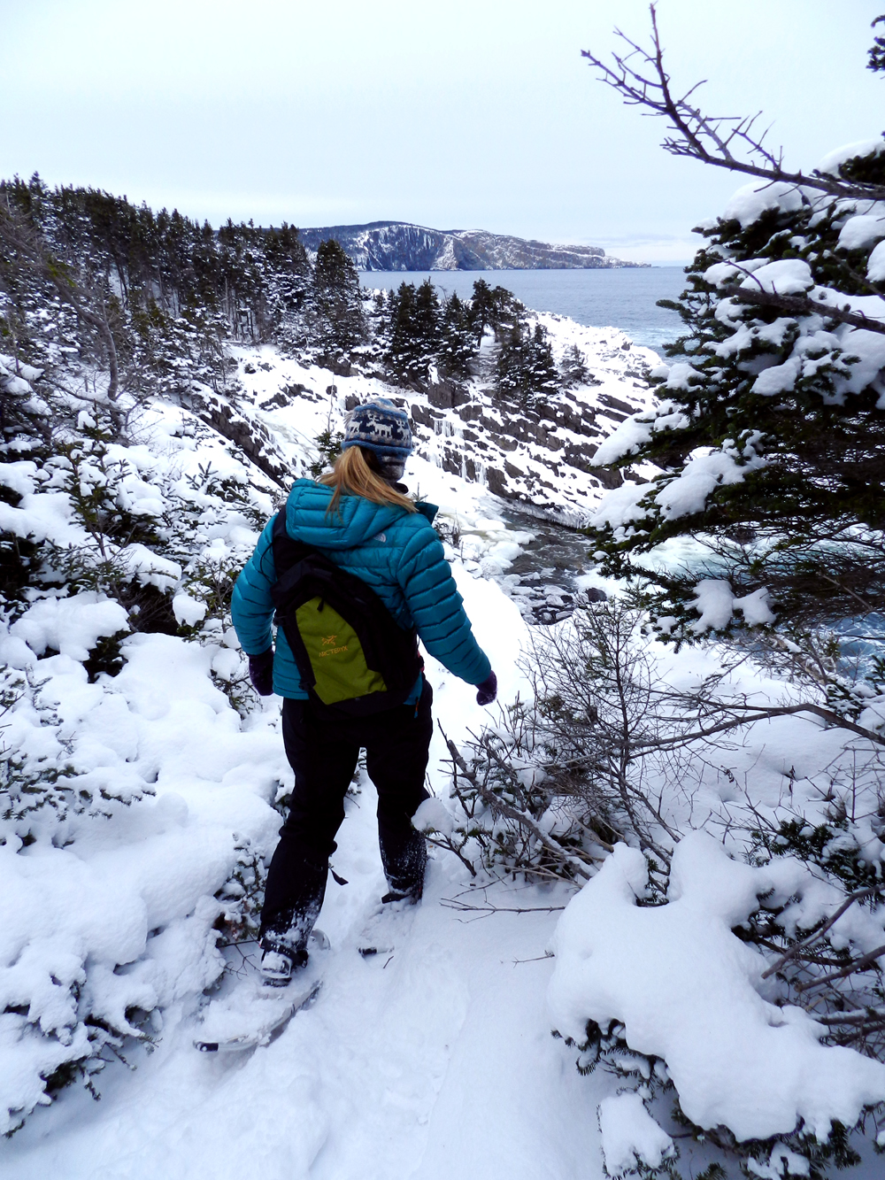 Elfshot Snowshoeing the East Coast Trail