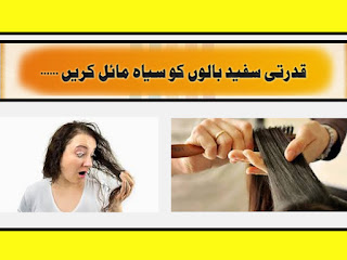 Health Plus Beauty White Hair Solution Home Treatment For White