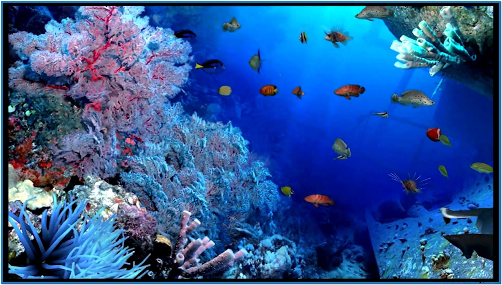 Aquarium Screensavers 3D Wallpaper - Free 3D Aquarium Screensaver WinDows 10