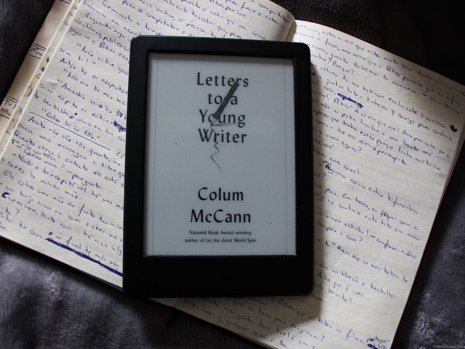letters to a young writer - colum mccann