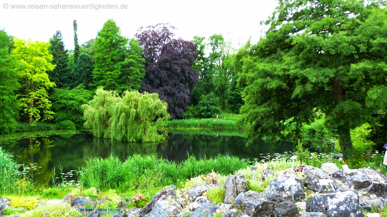 Botanischer Garten Teich im Botanischen Garten von Münster