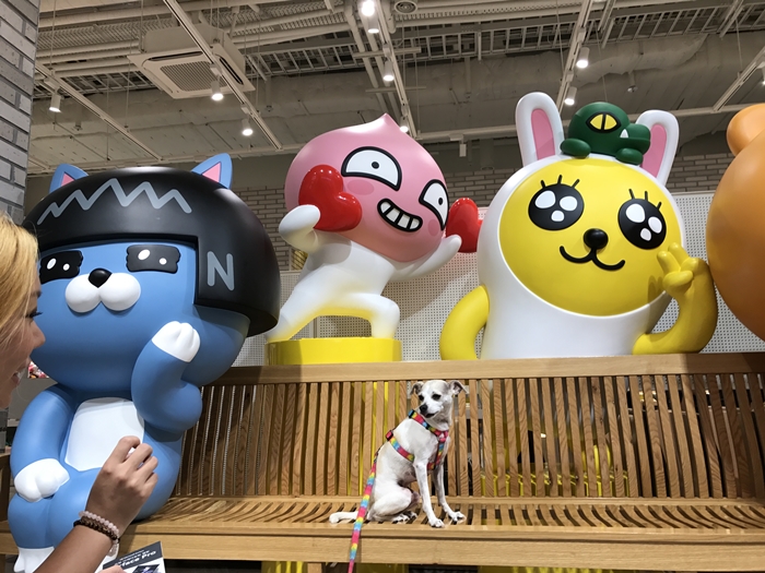 HAPPYHAZEL Korea's First Dog Friendly Mall Starfield Hanam