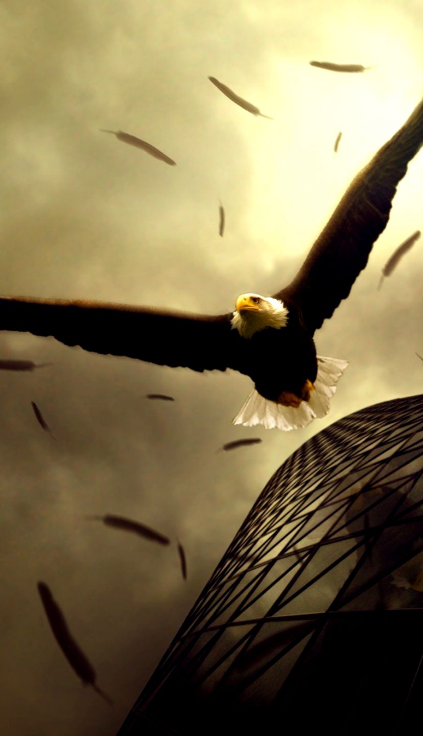 Collection 2 Wallpaper HD screen Lock for android Phones   AppLockers