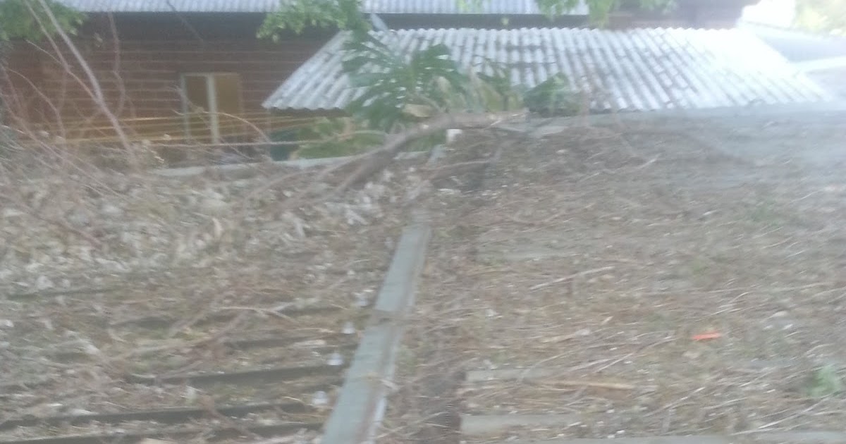 Gutter Cleaning Adelaide Adelaide Gutter Cleaners Gutter Guys