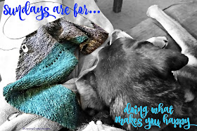 cuddly rescue dog knitting