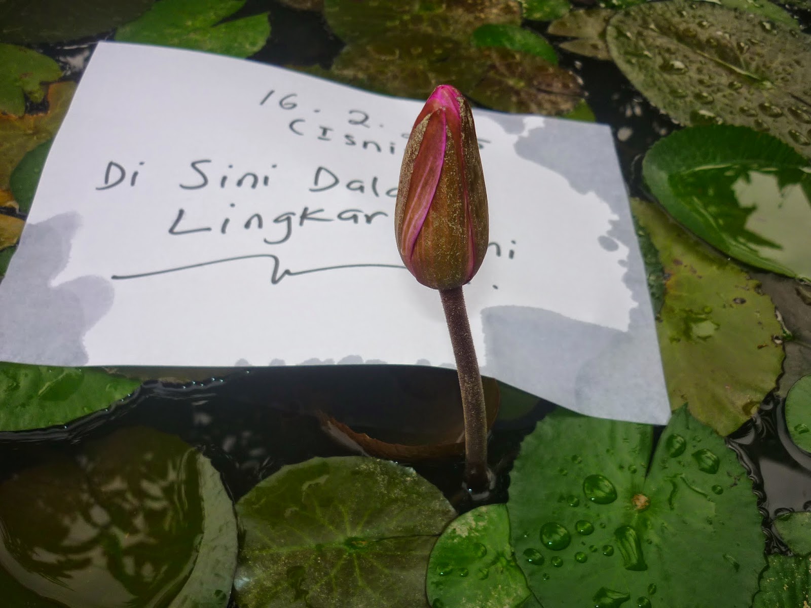 Disini dalam lingkaran ini: Bila ku intai