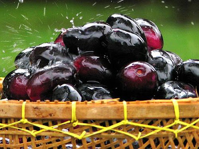 Jamun Information and Facts - Specialty Produce