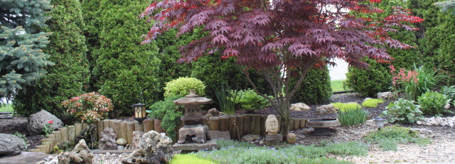 My Food, Garden, Golf etc.: Japanese Garden Renovation