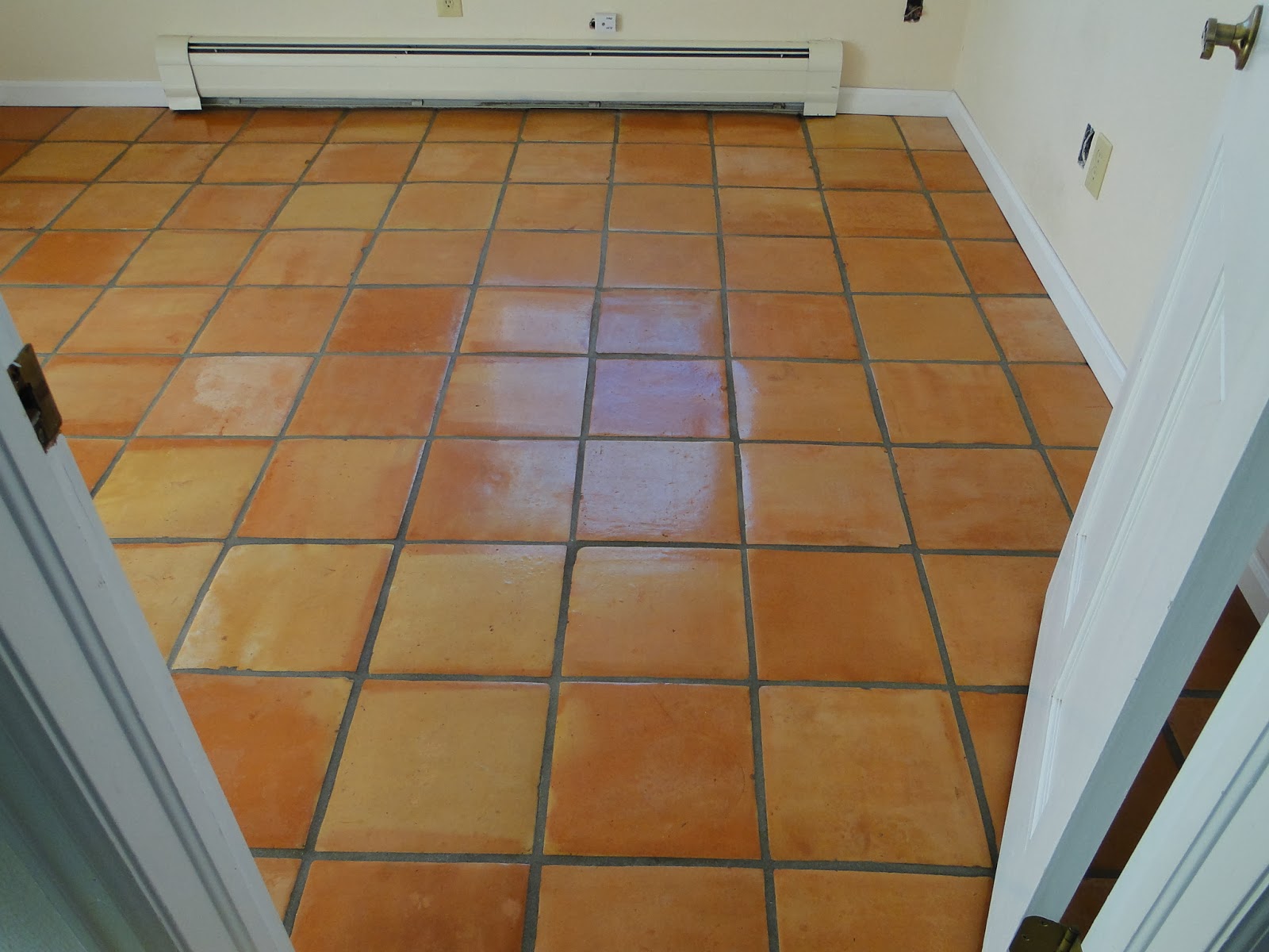 6096 S COVENTRY LANE, LITTLETON, CO 80123 Condition Report