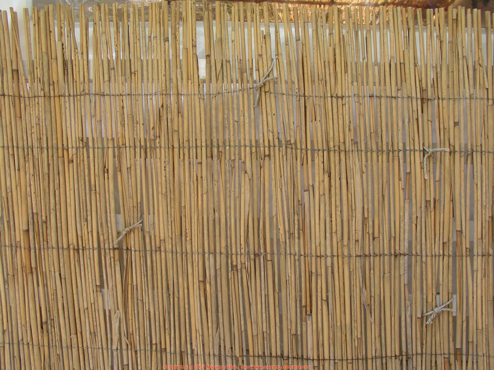 Bamboo Grove Photo Bamboo Fence