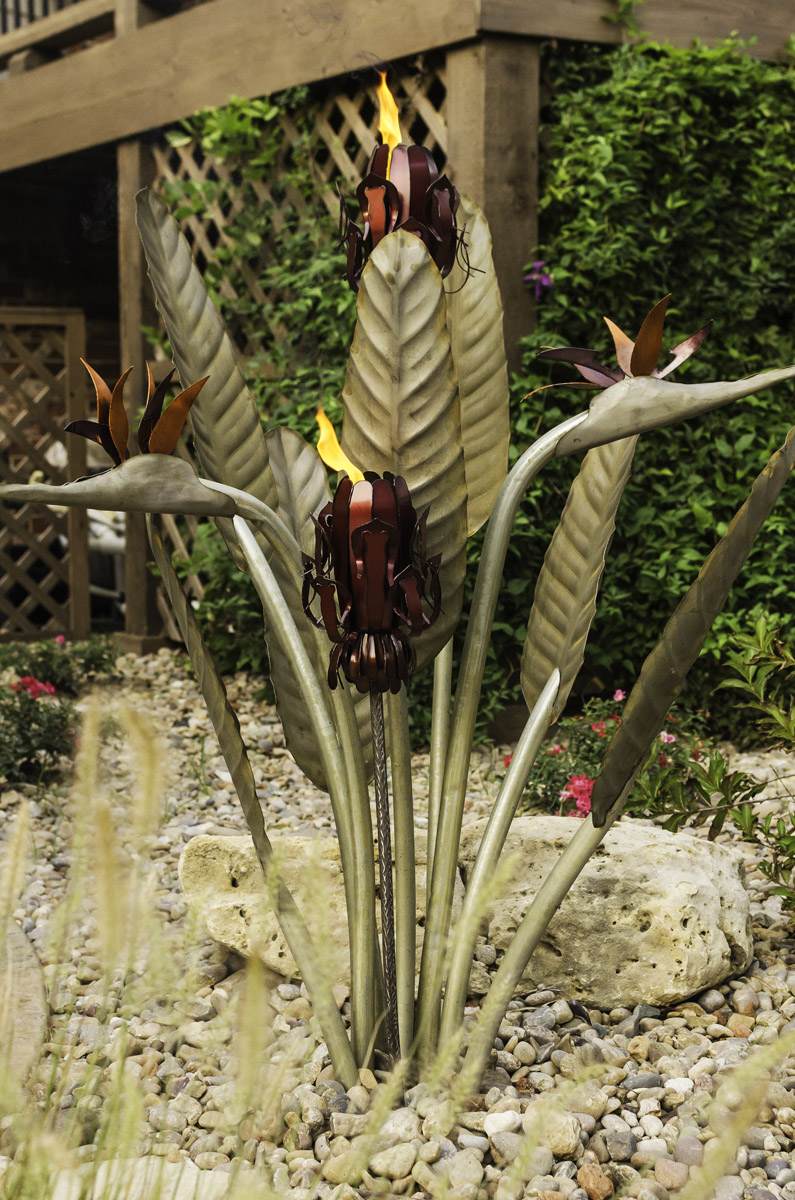 Bird In Everything: Desert Bird Of Paradise