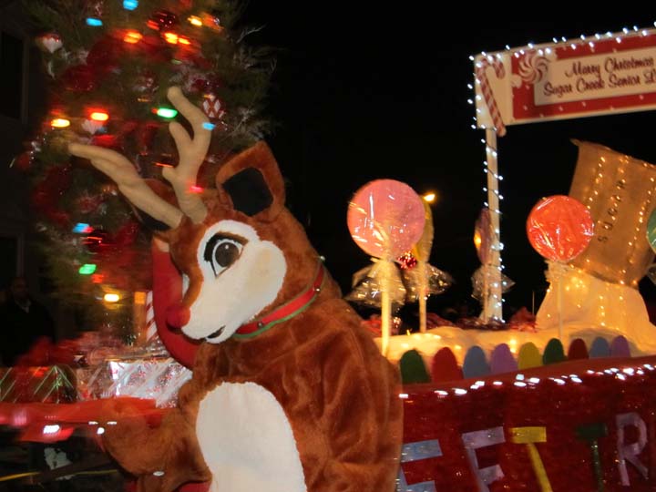 All About Brownsville & Haywood County Brownsville Christmas Parade