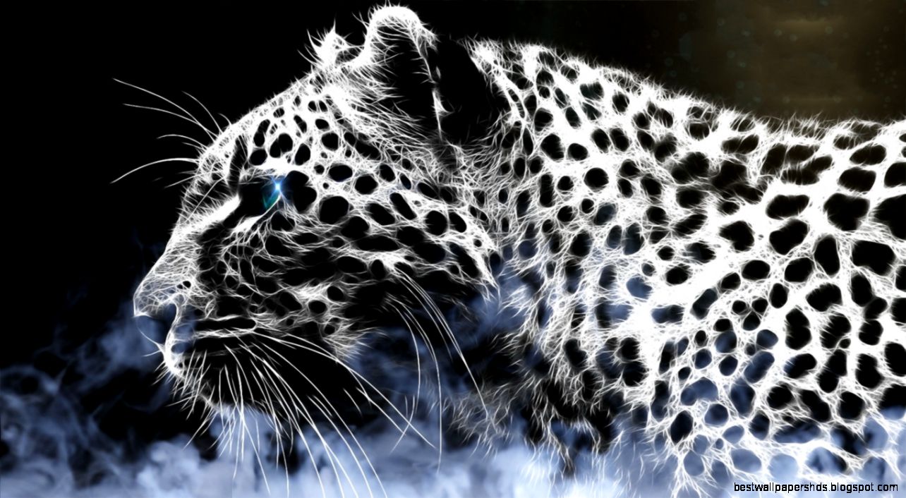 Best Leopard Wallpaper STAY021  staywallpaper