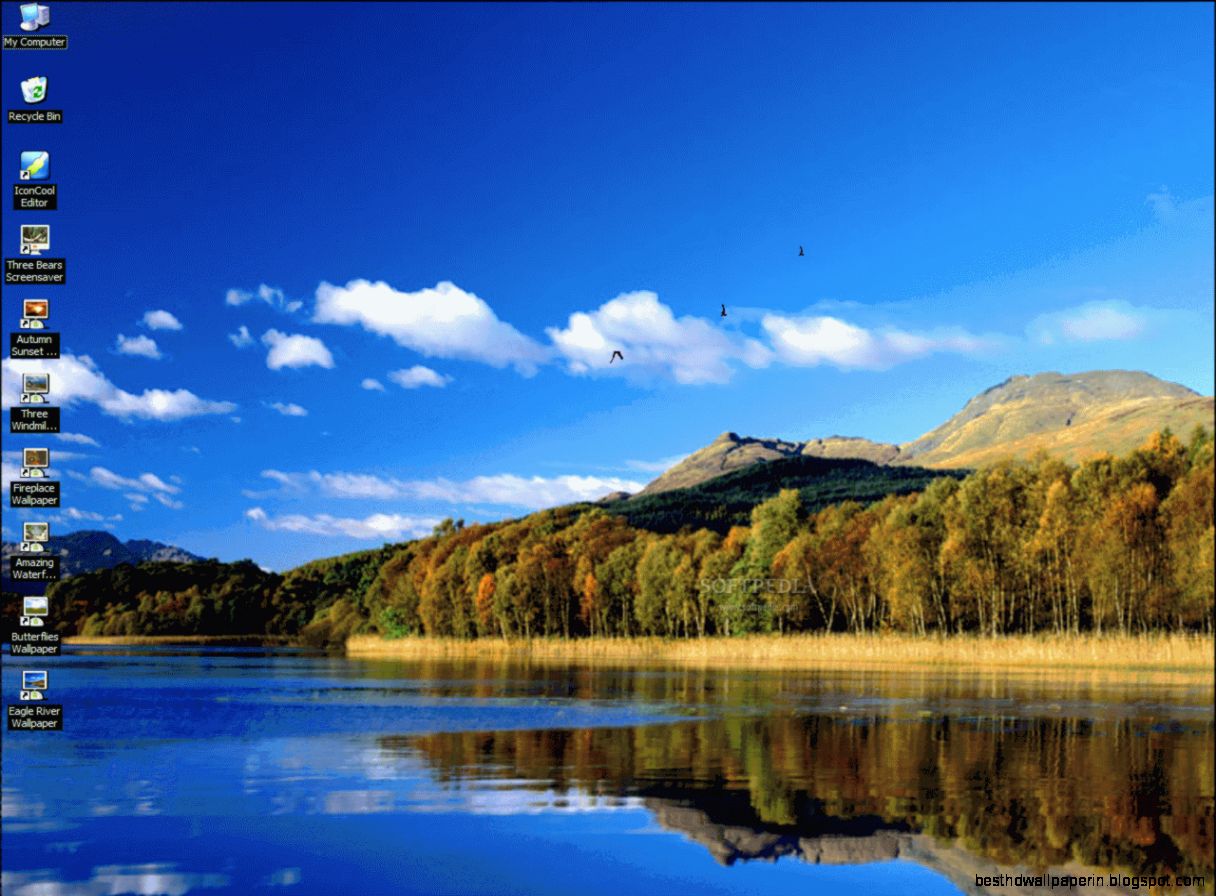 advertising agency  Page 6