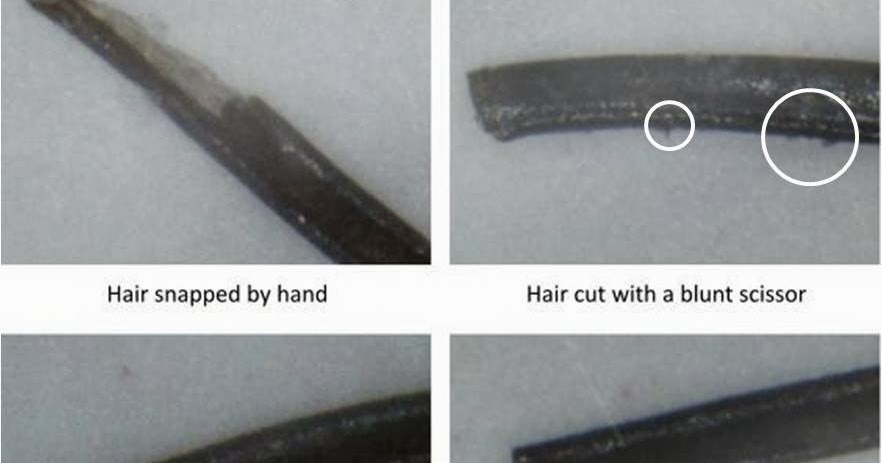 The Natural Haven Do You Need Hair Shears To Cut Hair