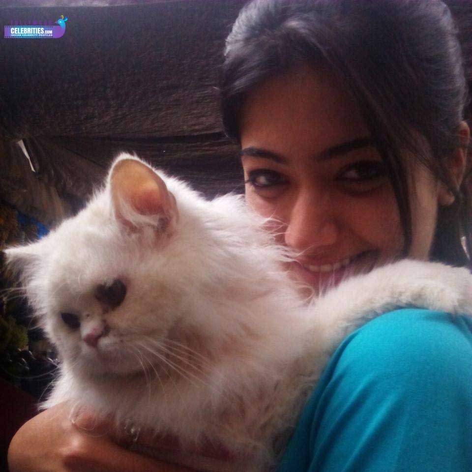 Rashmika Mandanna Family Husband Son Daughter Father Mother Marriage