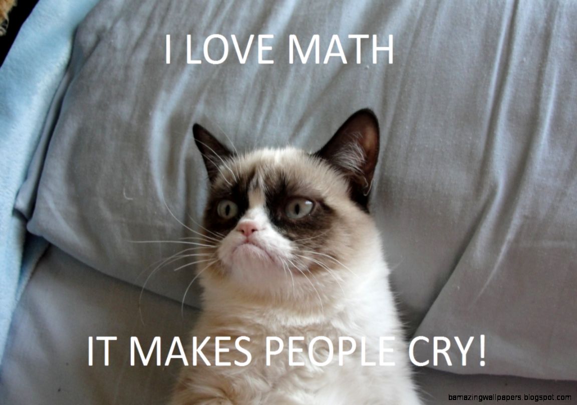 Grumpy cat math 2  Grumpy Cat  Know Your Meme