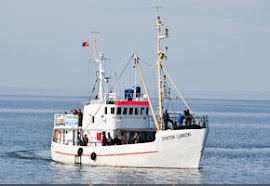 M/Y DOKTOR  LUBECKI