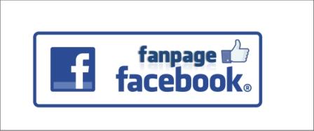 Fan Page Facebook