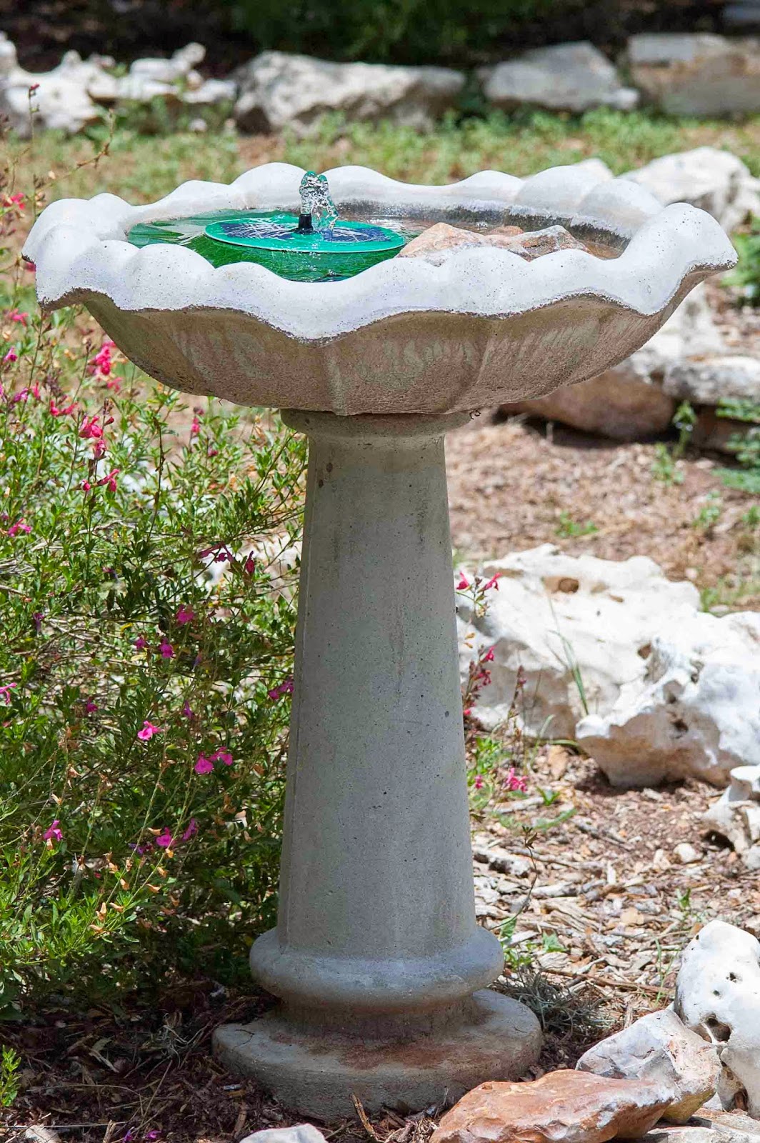 Window on a Texas Wildscape More on bird baths