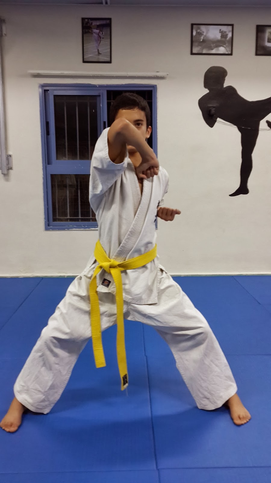 Japanese in Karate Japanese in Karate 15 "Kibadachi" "Shitazuki" and