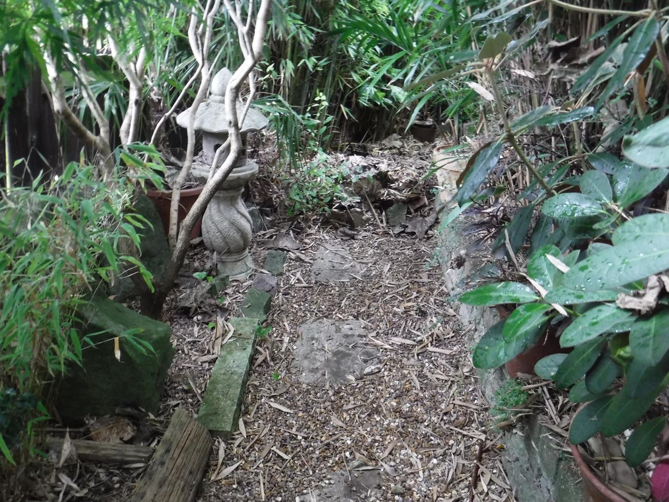 Love My Garden Shrubs With Golden Foliage