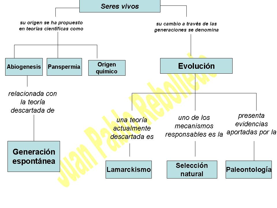 Actividad Ciencias : Evolución de Los Seres Vivos: Actividad Ciencias