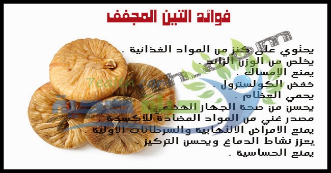 Image result for ‫ماهي التين المجفف‬‎