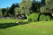 Ayer visité el Parque de La Granja que hay en Burjassot, a 5 km de Valencia.