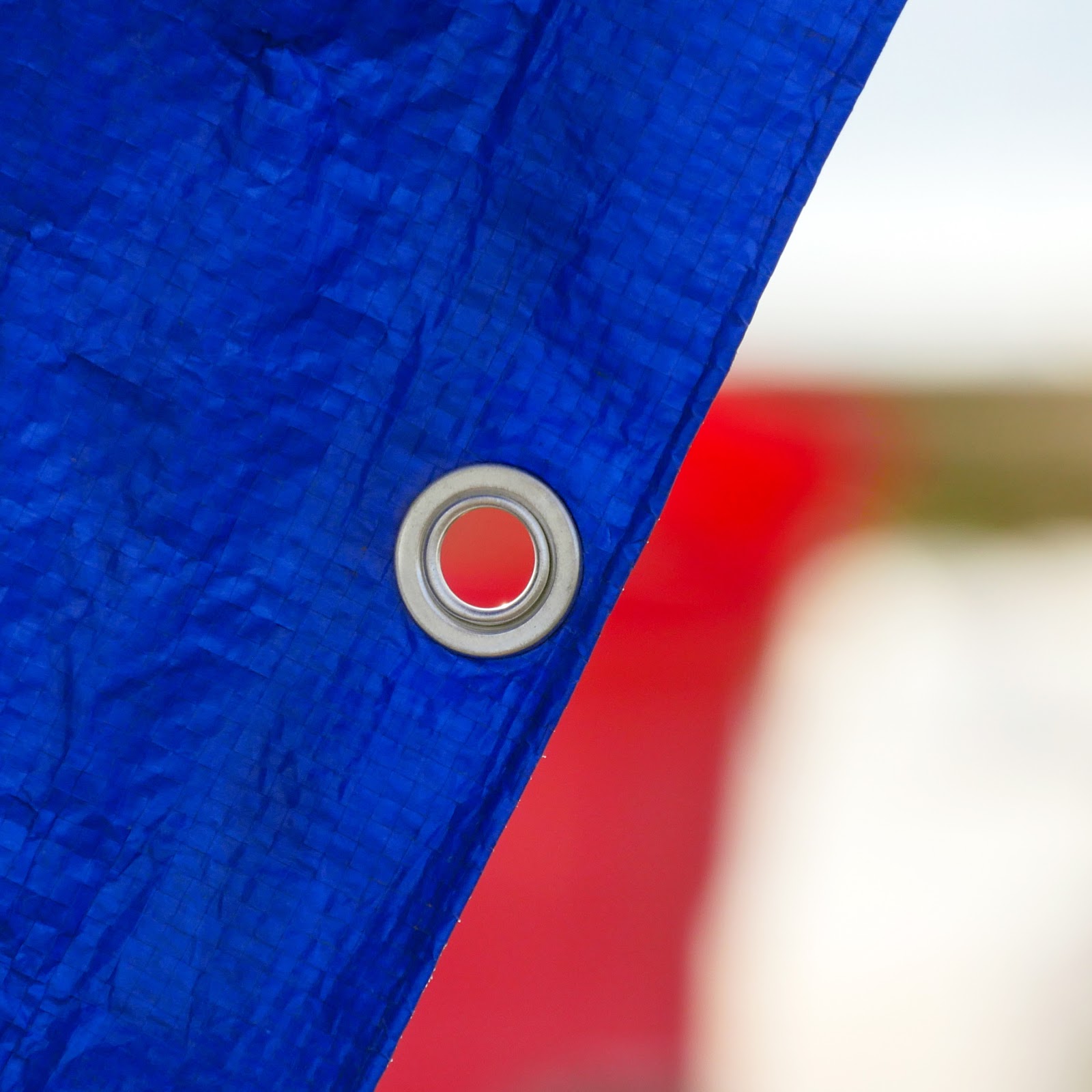 My Daily Snap Blue Tarps