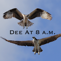 Dee at 8 a.m. Logo text with one osprey flying above and one below
