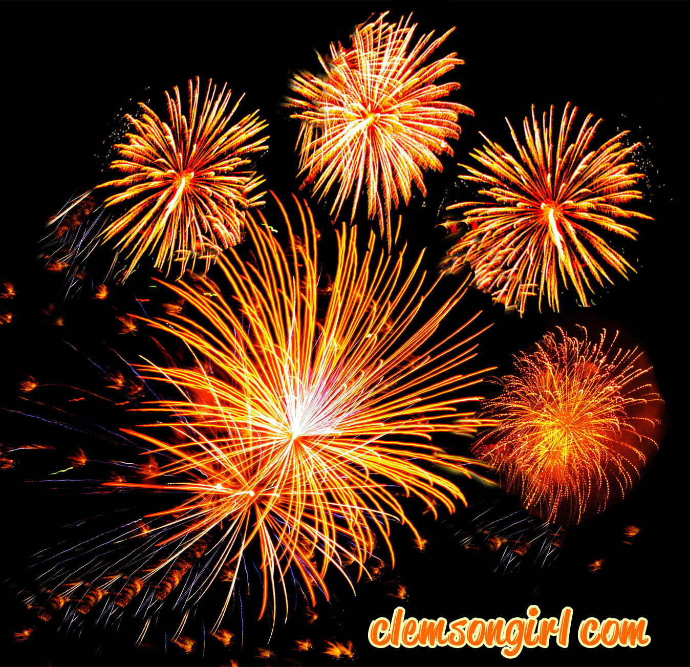 Clemson Girl Happy 4th of July!