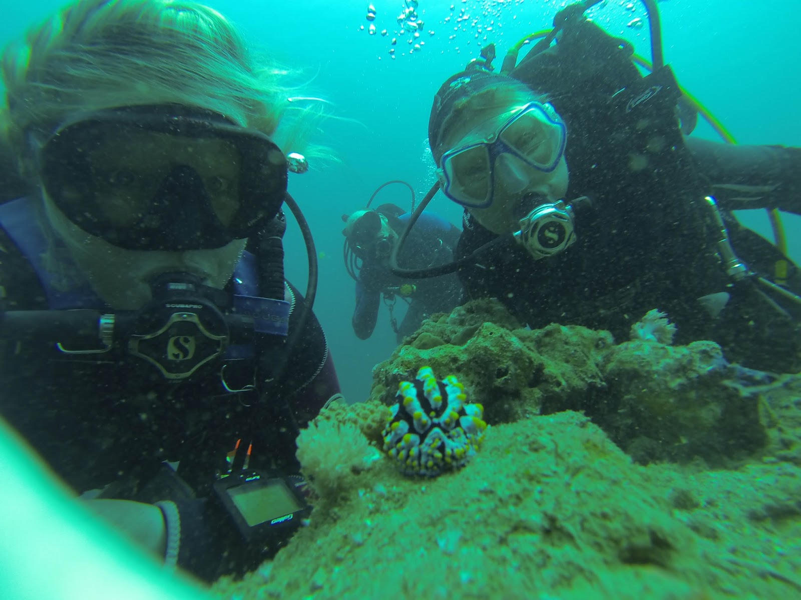 Nudi Gal Selfie Bombs