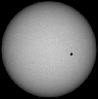 Sun in HMI filter from SDO - single large sunspot