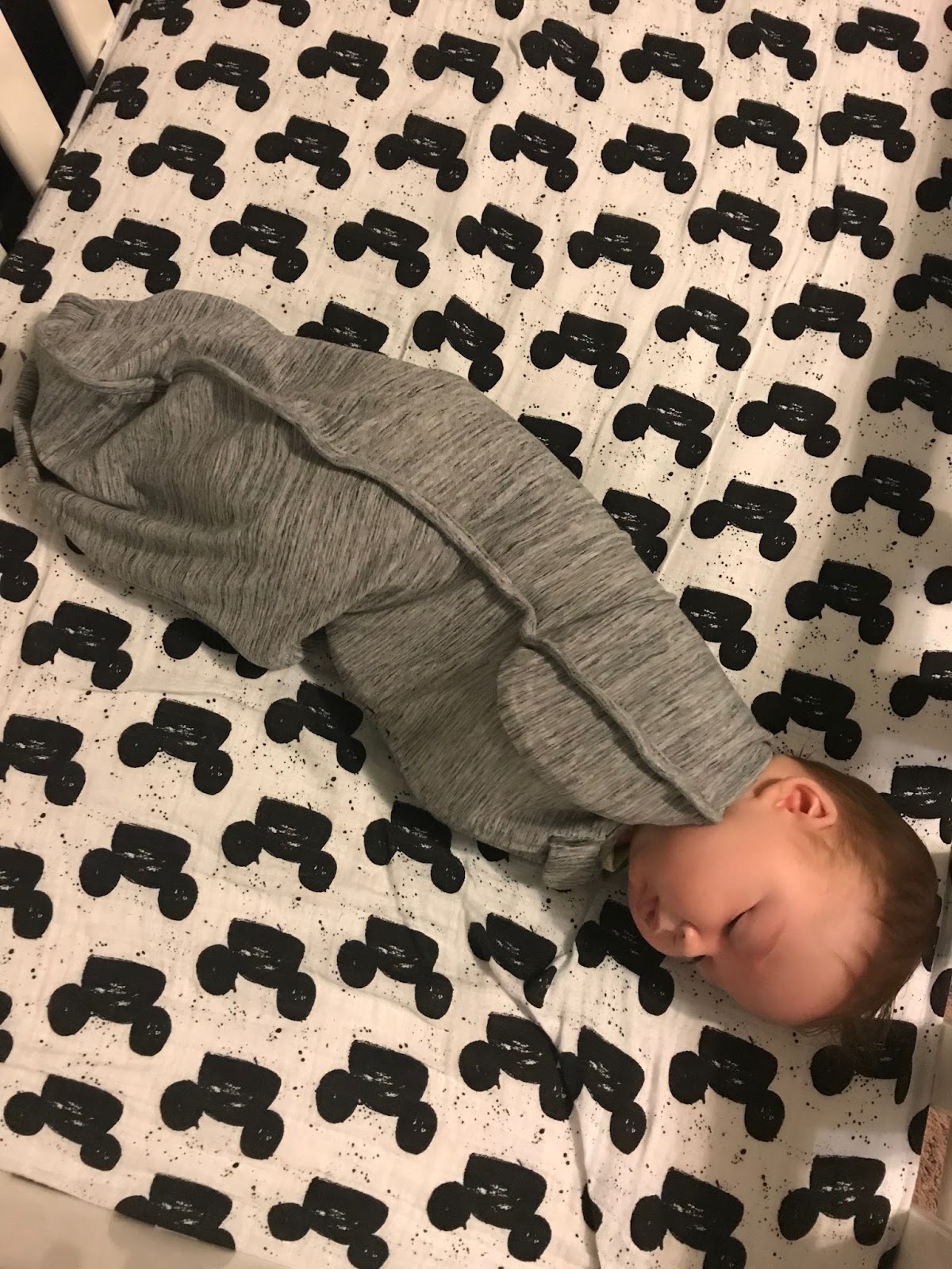 Spear Summary of Month 4 The Journey of Parenthood...